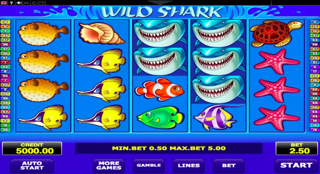 Seuls les casinos vérifiés pour Wild Shark